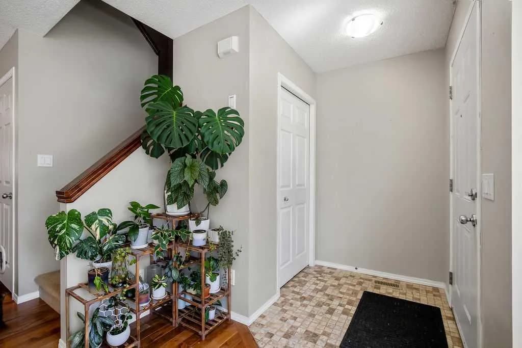 Semi Detached (Half Duplex)