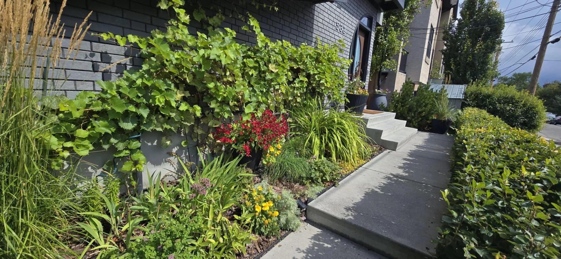 Row/Townhouse